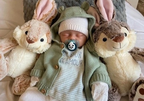 Bébé reborn garçon